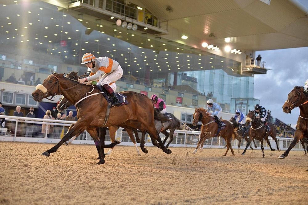 Arcanears wins under Mikey Sheehy