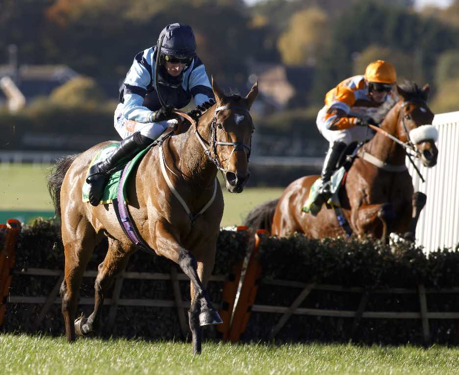 Indefatigable and Daryl Jacob