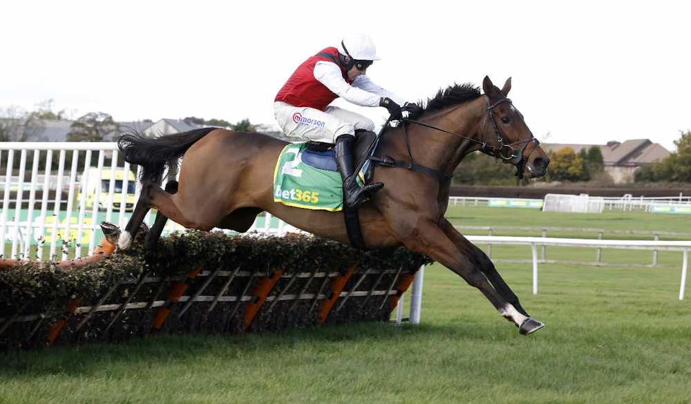 Molly Ollys Wishes and Harry Skelton