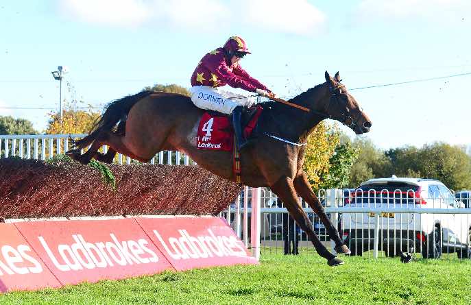 Minella Indo in action at Down Royal