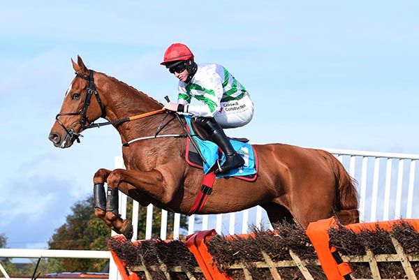 Zanahiyr runs in Sunday's Irish Champion Hurdle