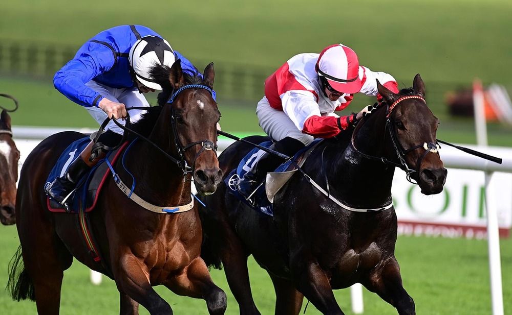 Carlton Banks (Donagh O'Connor, nearside, 100th winner) got the better of Mickey The Steel (Joe Doyle)