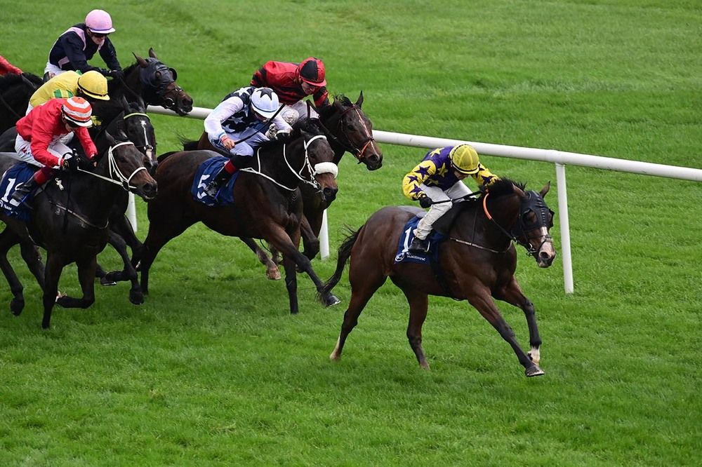 Earls goes for a four-timer in the last at Naas 