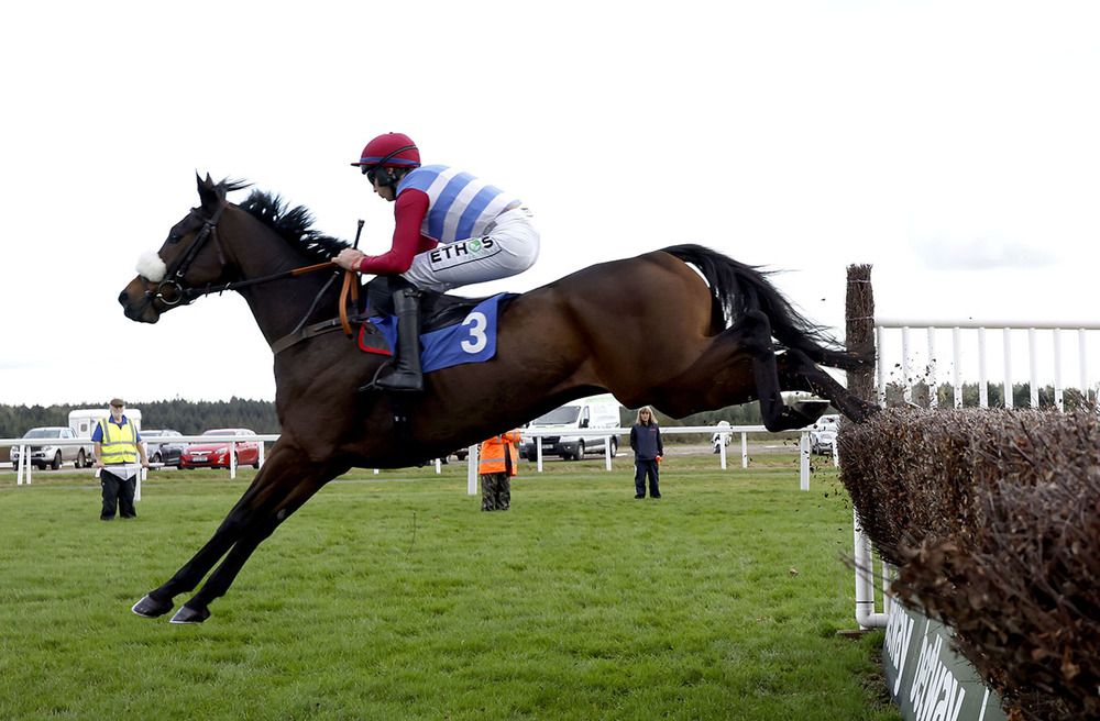 Threeunderthrufive and Adrian Heskin winning at Exeter