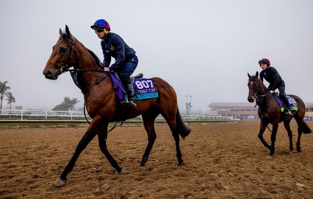 Glounthaune (left) and Ryan Moore at morning track work in Del Mar ahead of the Breeders' Cup 