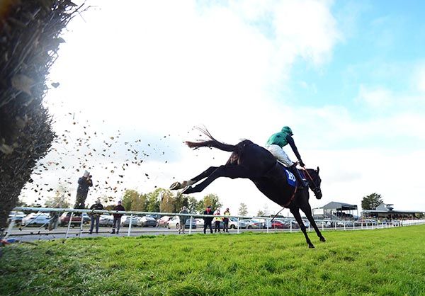 Pretty Little Liar and Jordan Gainford jump the last 