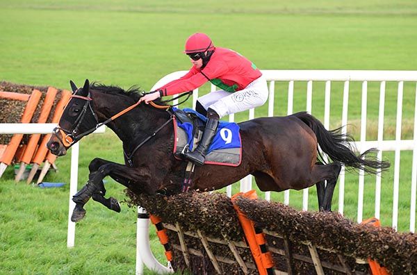 Family Business and Jack Foley jump the last 