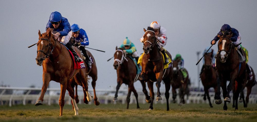 Modern Games (William Buick) winning the Breeders Cup Juvenile at Del Mar