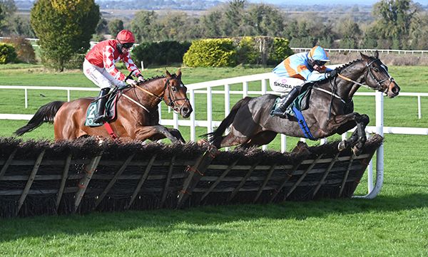 My Mate Mozzie leads over the last