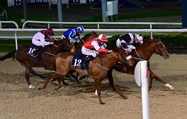 Limit Long holds on from Lily Of The Glen (red)