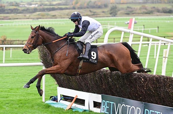 French Dynamite pops the last in Punchestown