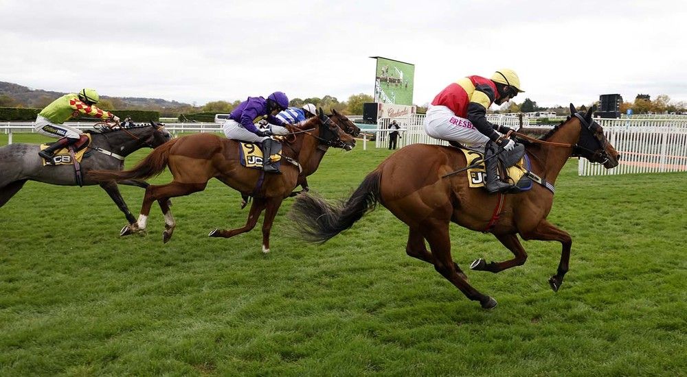 Knight Salute and Paddy Brennan (nearside)