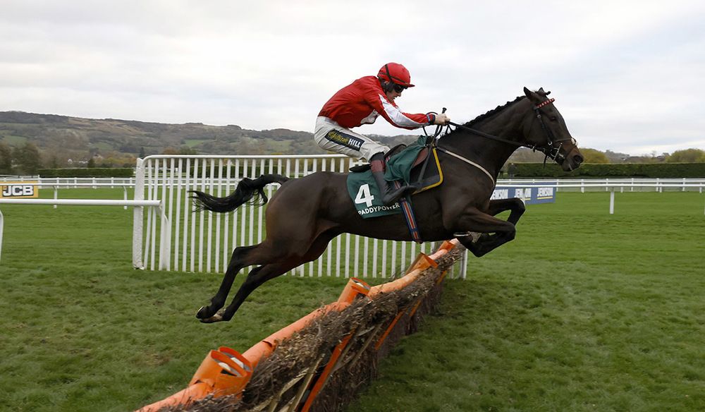 Gowel Road and Sam Twiston-Davies winning The Paddy Power feel Like a Favourite Intermediate Handicap HurdleCheltenham 13.11.21HEALY RACING