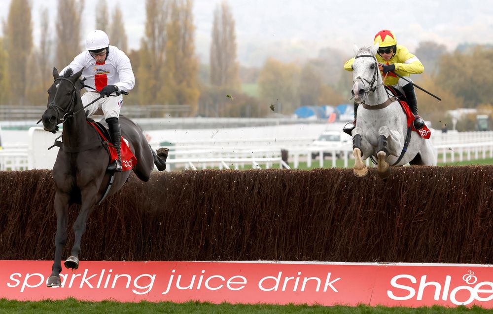 Nube Negra (left) winning last year's Shloer Chase