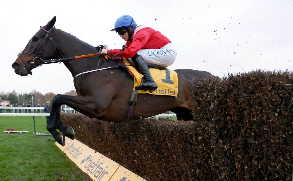 A Pus Tard and Rachael Blackmore jumping a fence at Haydock