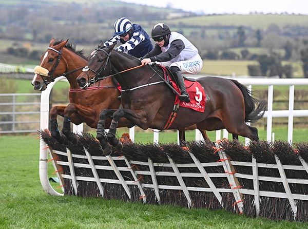 Grand Jury, near side, challenges Ardla at the final flight