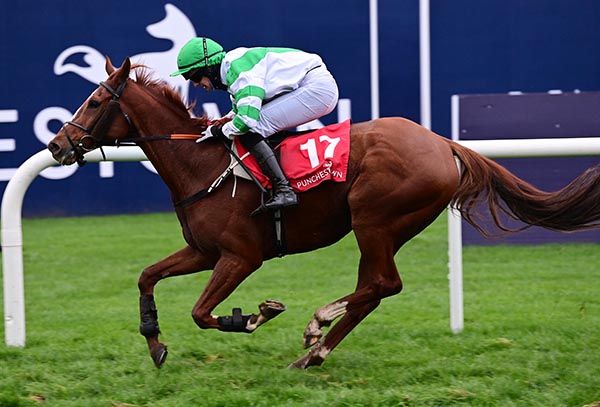 Betterask Jj approaches the winning post