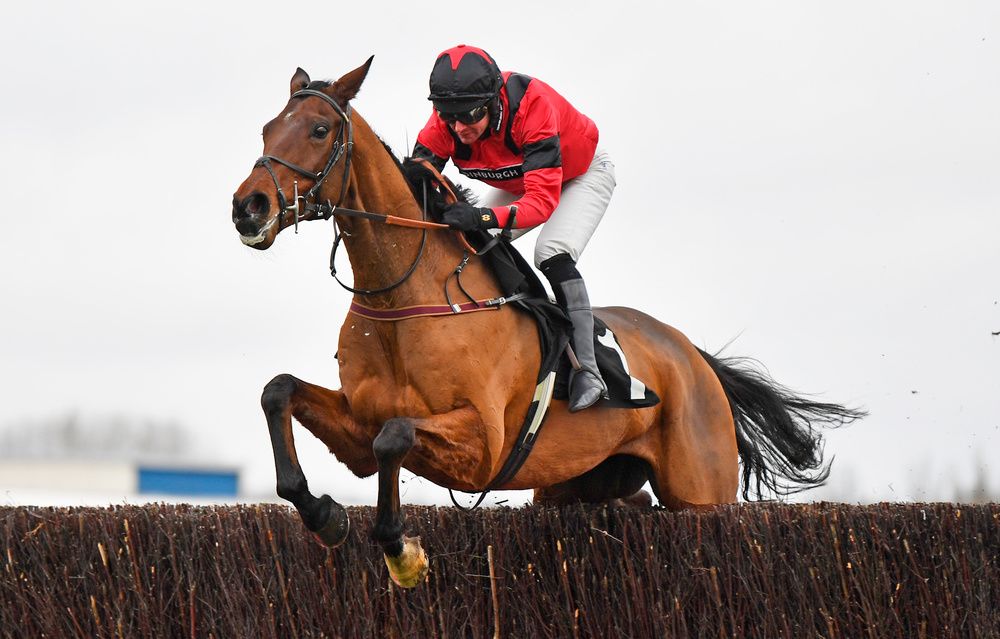 Ahoy Senor winning at Newbury under Derek Fox