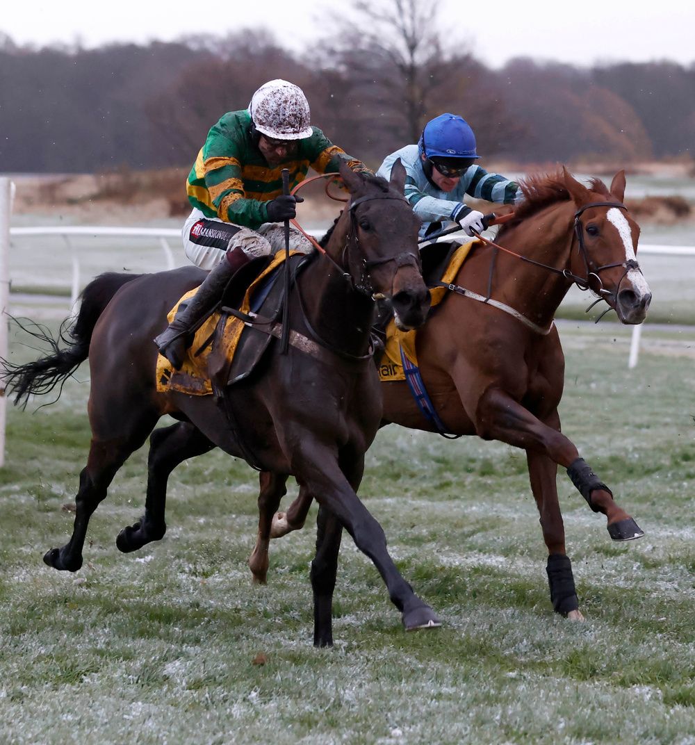 Not So Sleepy, far side, dead heats with Epatante in last year's Fighting Fifth at Newcastle
