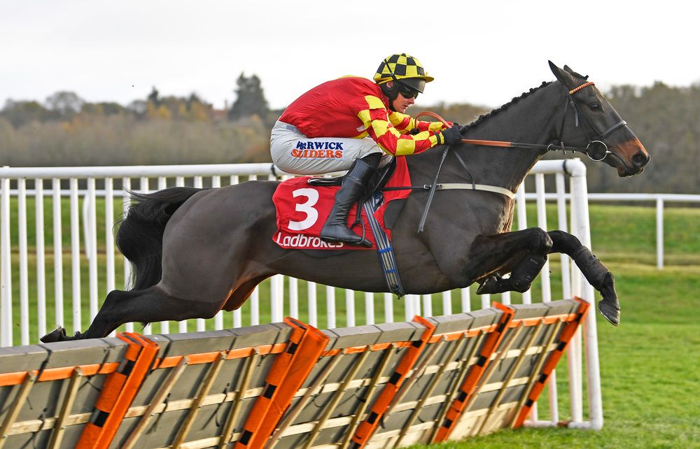 Onemorefortheroad (Jack Quinlan) winning at Newbury in November