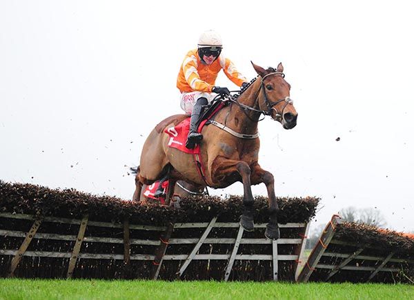 Statuaire and Danny Mullins