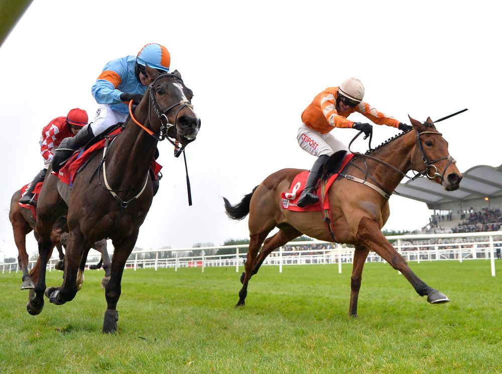 My Mate Mozzie (left) was touched off by Statuaire at Fairyhouse