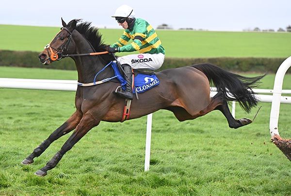 Harvey's Quay and Mark Walsh