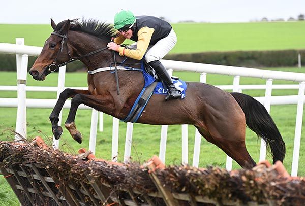  Western Victory and Declan Queally