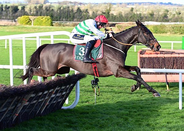 Ginto is morning favourite for the Grade 1 at Naas 