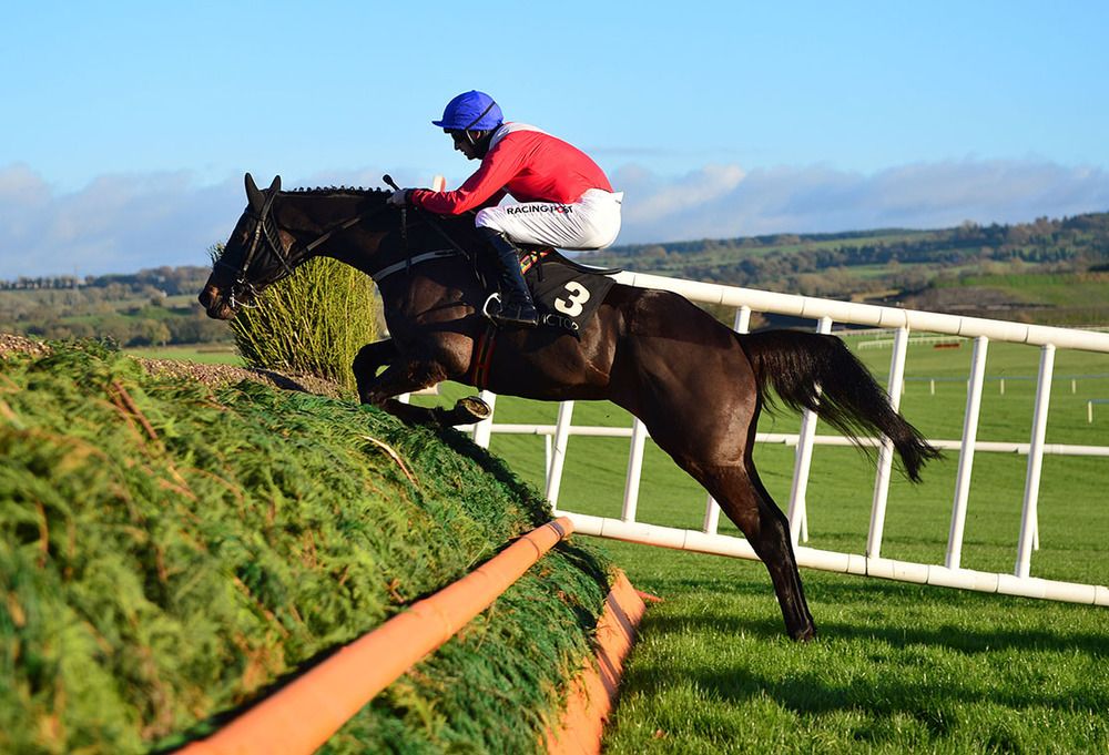 Ferny Hollow and Patrick Mullins