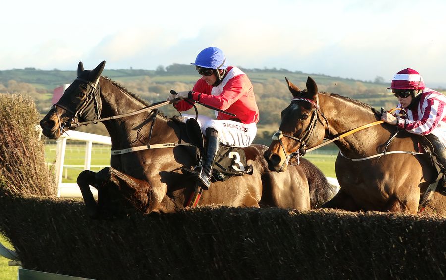 Ferny Hollow beating Coeur Sublime at Punchestown