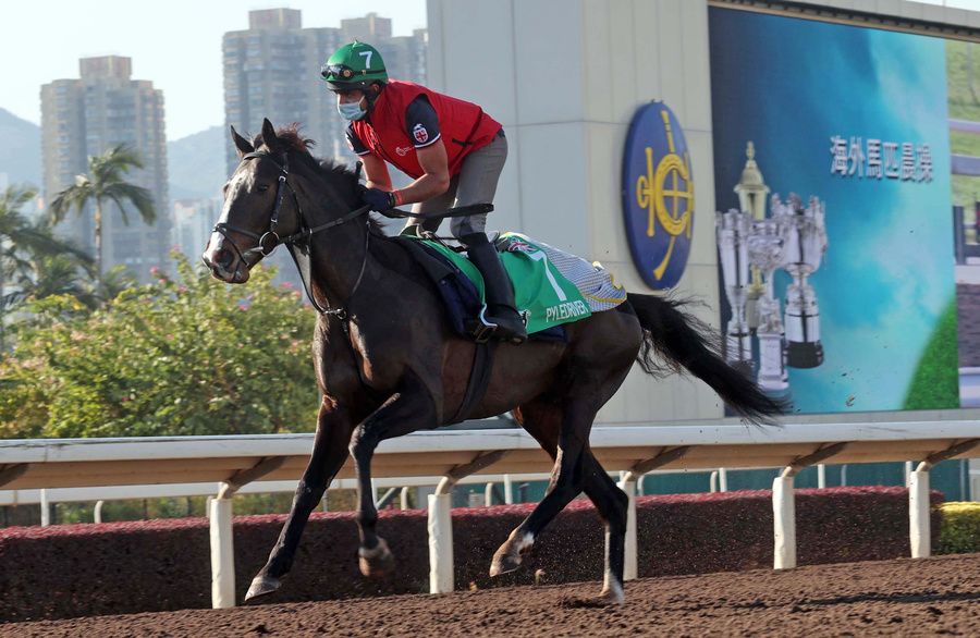 Pyledriver pictured at morning exercise