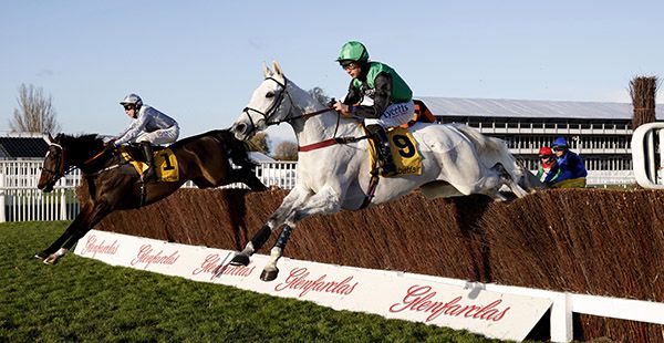 Grey horse Commodore