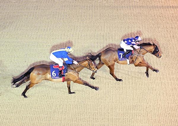 Adams Barbour leading Samrogue