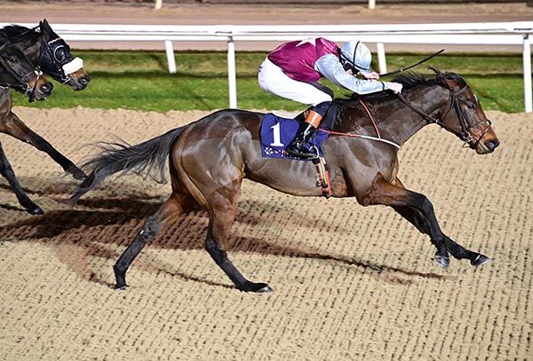 Mulgrave and Donagh O'Connor