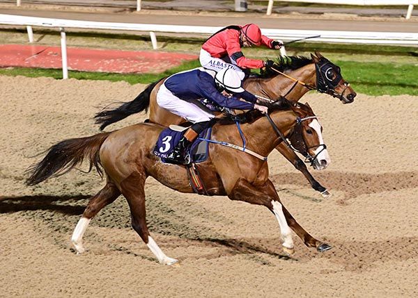 Prisoner's Dilemma, near side, fends off Skontonovski