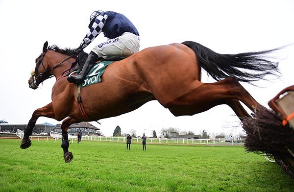 Ardla and Luke Dempsey jump the last