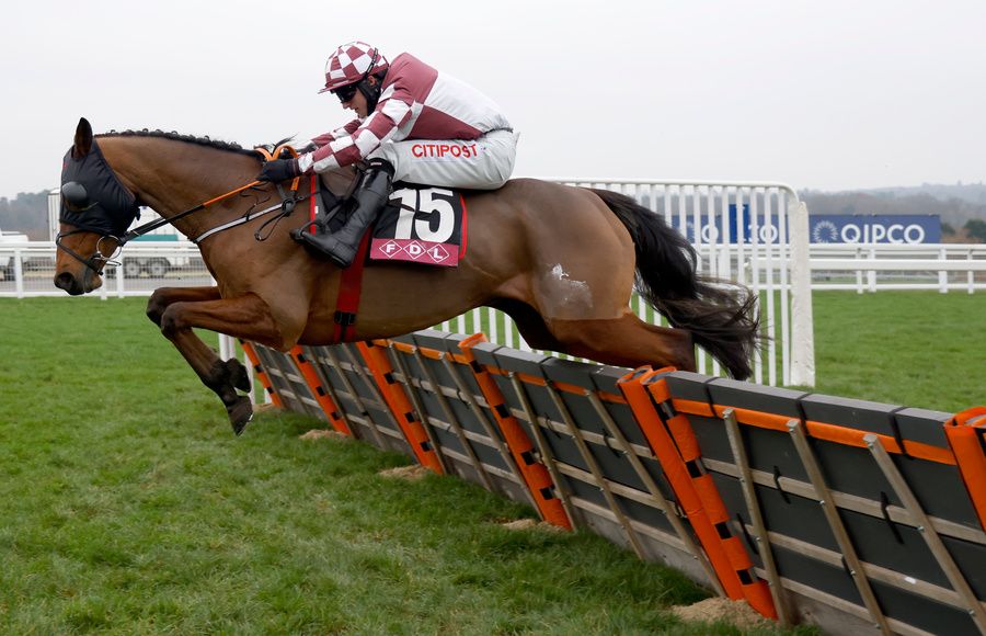 Ardhill is a warm order for the 3m handicap hurdle at Fairyhouse 