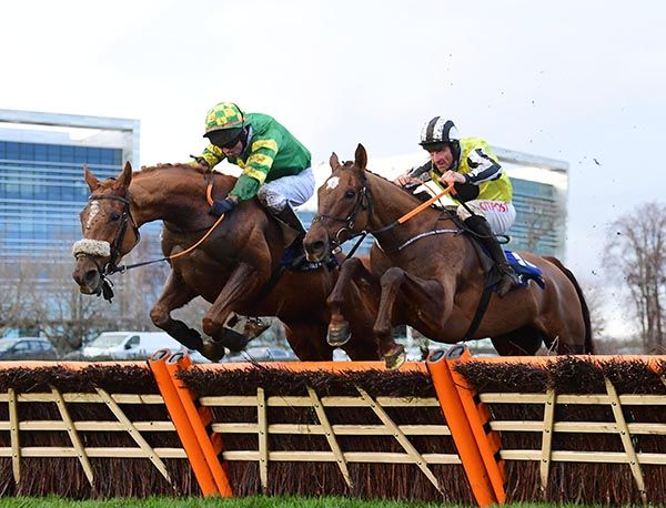 The Greek (right) and Belgoprince jumping the last