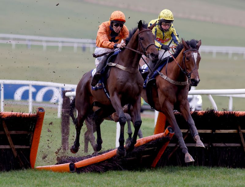 Saint Segal (orange colours)