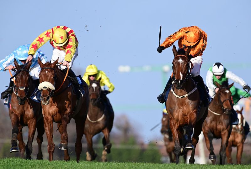 Heaven Help Us (orange) was just foiled at Leopardstown by Royal Kahala (noseband)