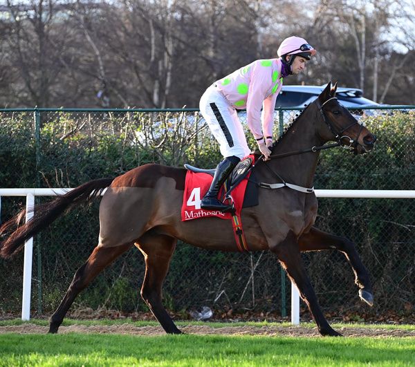 Sharjah one of the leading Morgiana Hurdle fancies at Punchestown on Sunday 