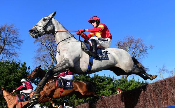 Vanillier will bid to improve on his second placed finish in last years Grand National. 