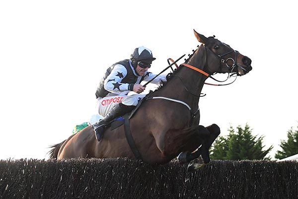 Mount Ida and Davy Russell jump the last