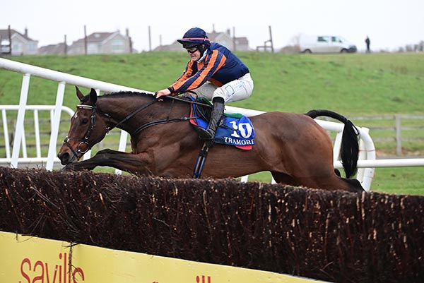 Arctic Ambition winning under Ryan Treacy