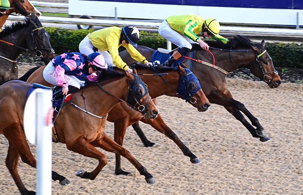 Brushwork (far side) just beats Adams Barbour and No Speed Limit