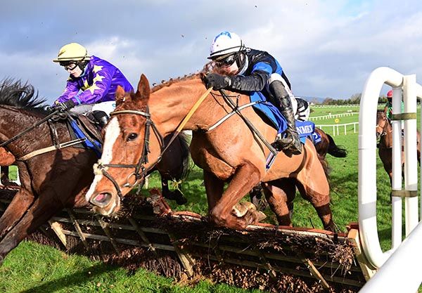 Sienne D'or and Danny Mullins (nearest)