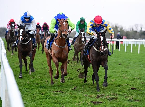 Heliko Conti (red cap) collars Grivei close home 