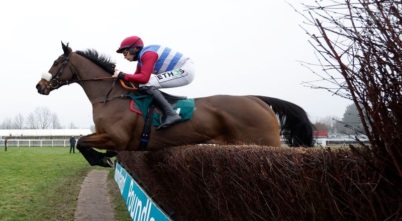 Threeunderthufive and Adrian Heskin winning The Wigley Group Hampton Novices?? ChaseWarwick 15.1.22HEALY RACING