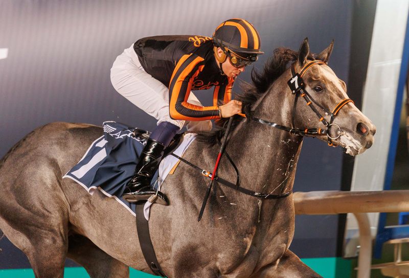 Mickael Barzalona was successful on Arc Sunday for Andre Fabre 